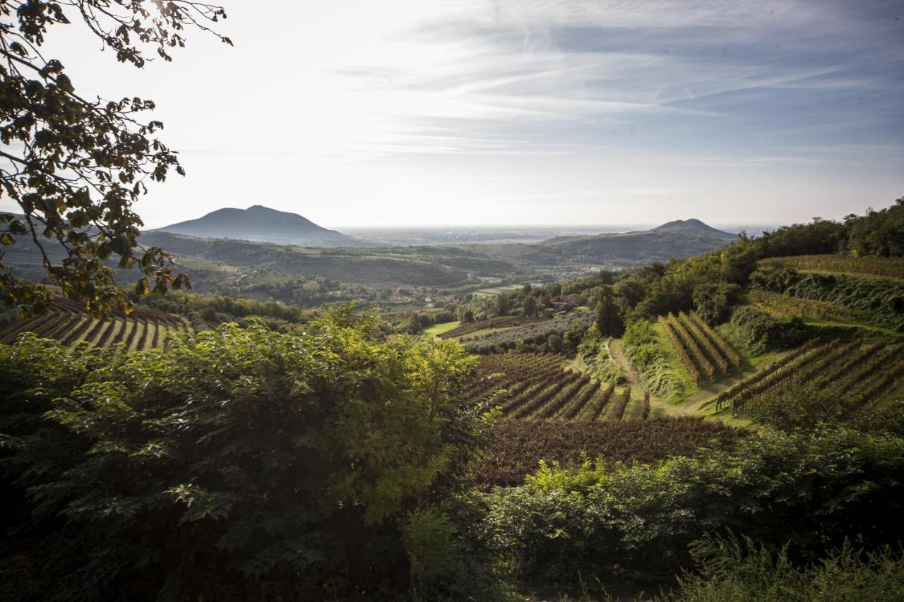 Agriturismo Le Volpi Baone Eksteriør billede